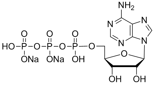 三磷酸腺苷二钠盐|adenosine 5-triphosphate disodium salt|51763-61