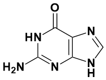73-40-5,鸟嘌呤,Guanine,Greagent,G79881A,01109970,MFCD00071533,BR,