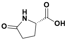 98-79-3,L-焦谷氨酸,L-Pyroglutamic Acid,Greagent,G92246A,01128303,MFCD00005272,CP,