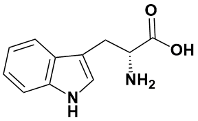 色氨酸 结构图片