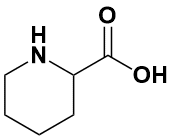 六氢吡啶