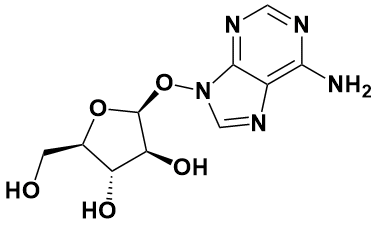 5536-17-4 阿糖腺苷 adenine 9-beta-d-arabinofuranoside 欢迎订购