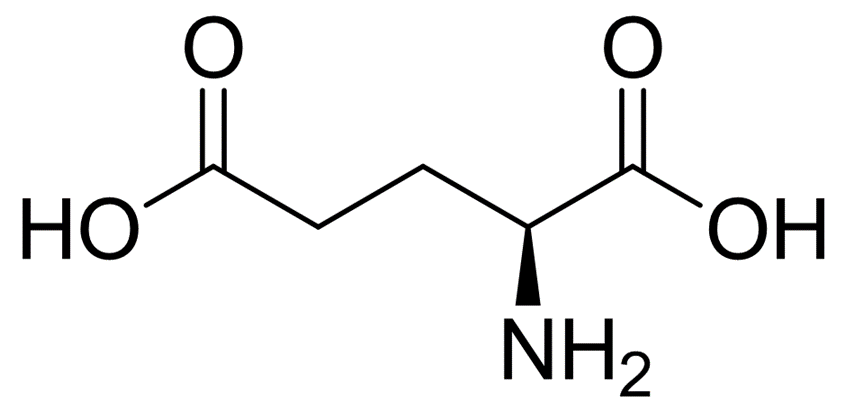 谷氨酸结构图片