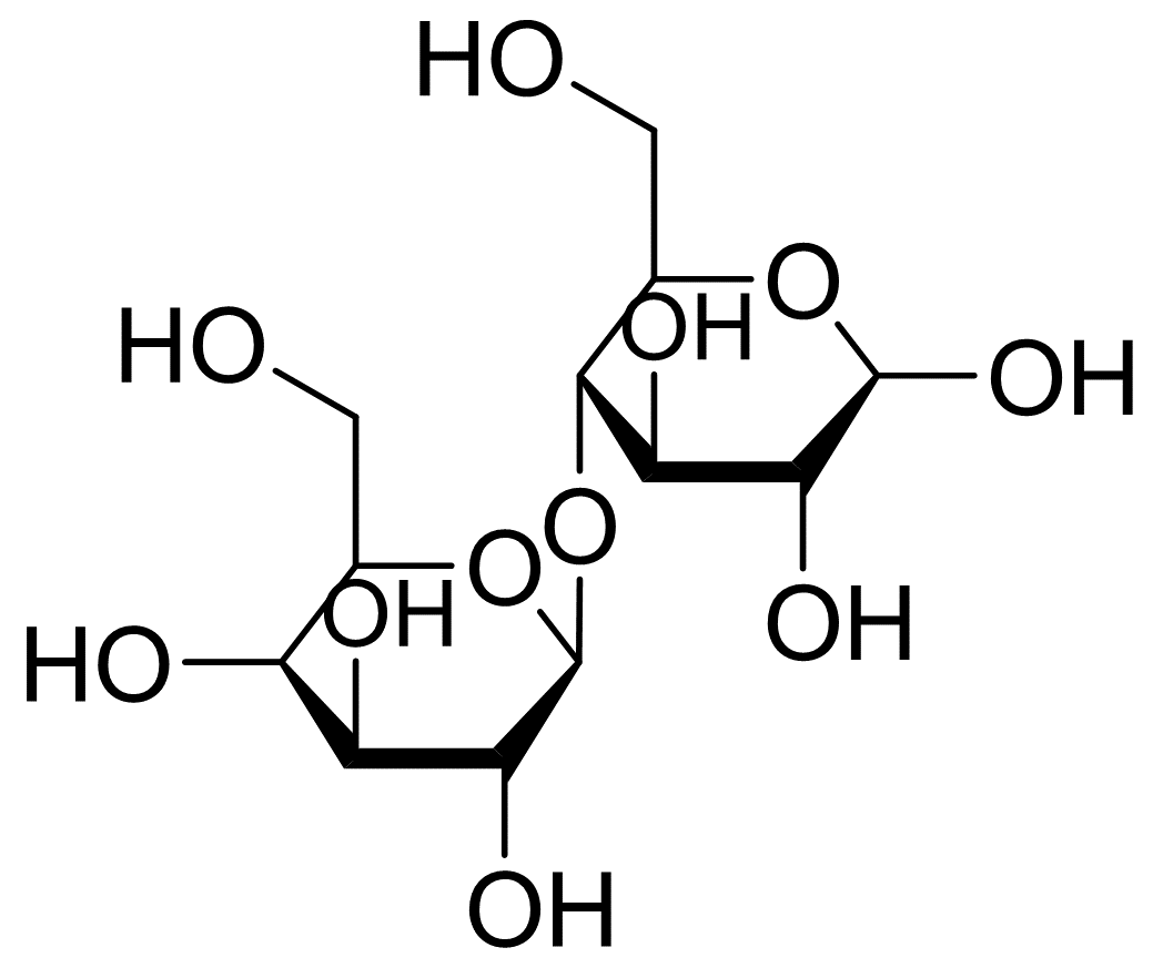乳糖分子结构图片