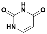 尿嘧啶结构式图片图片