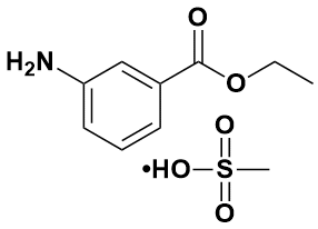 3-氨基苯甲酸乙酯甲磺酸酯|ethyl 3-aminobenzoate methanesulfonate